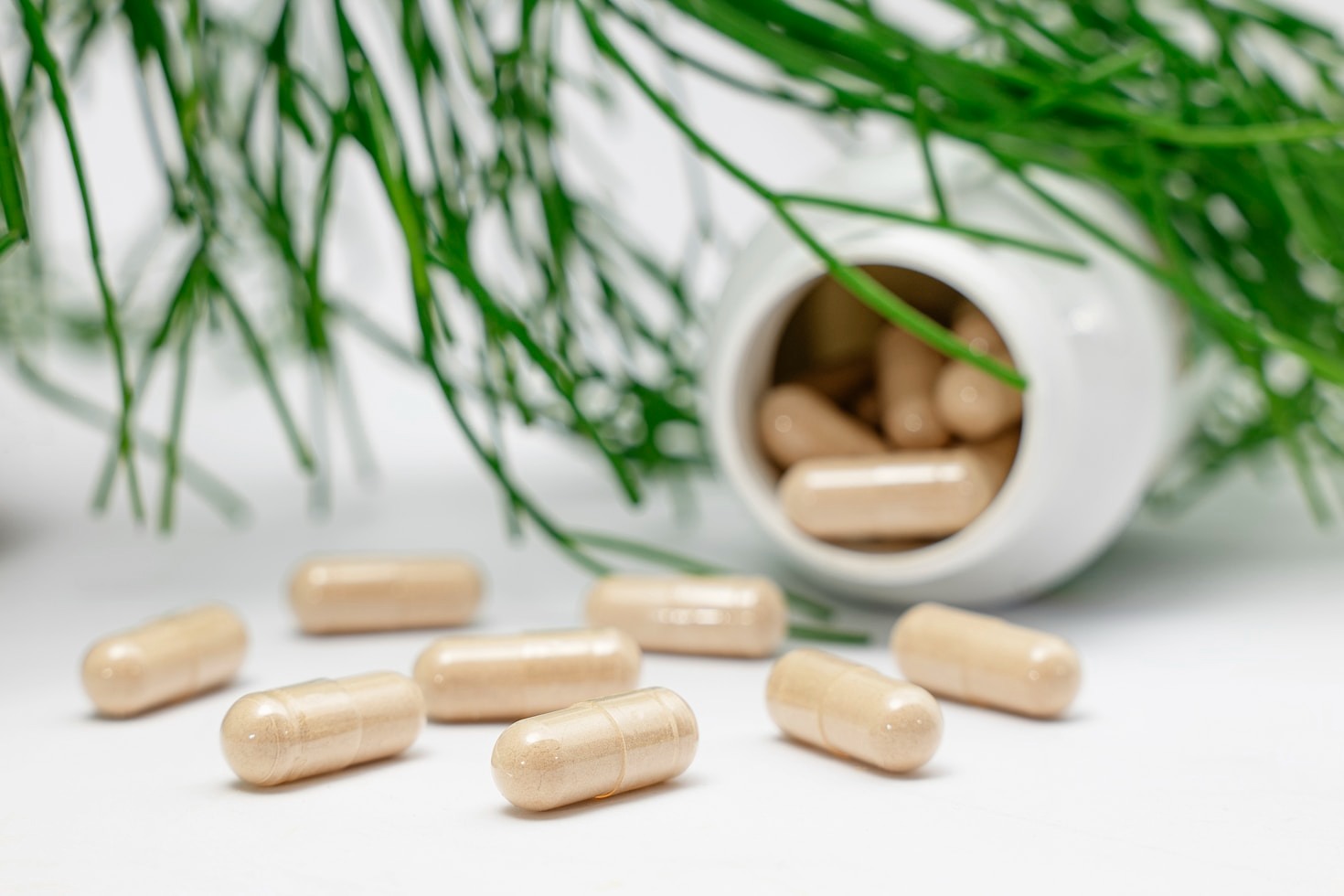 What to Look for in Honest Supplement Reviews